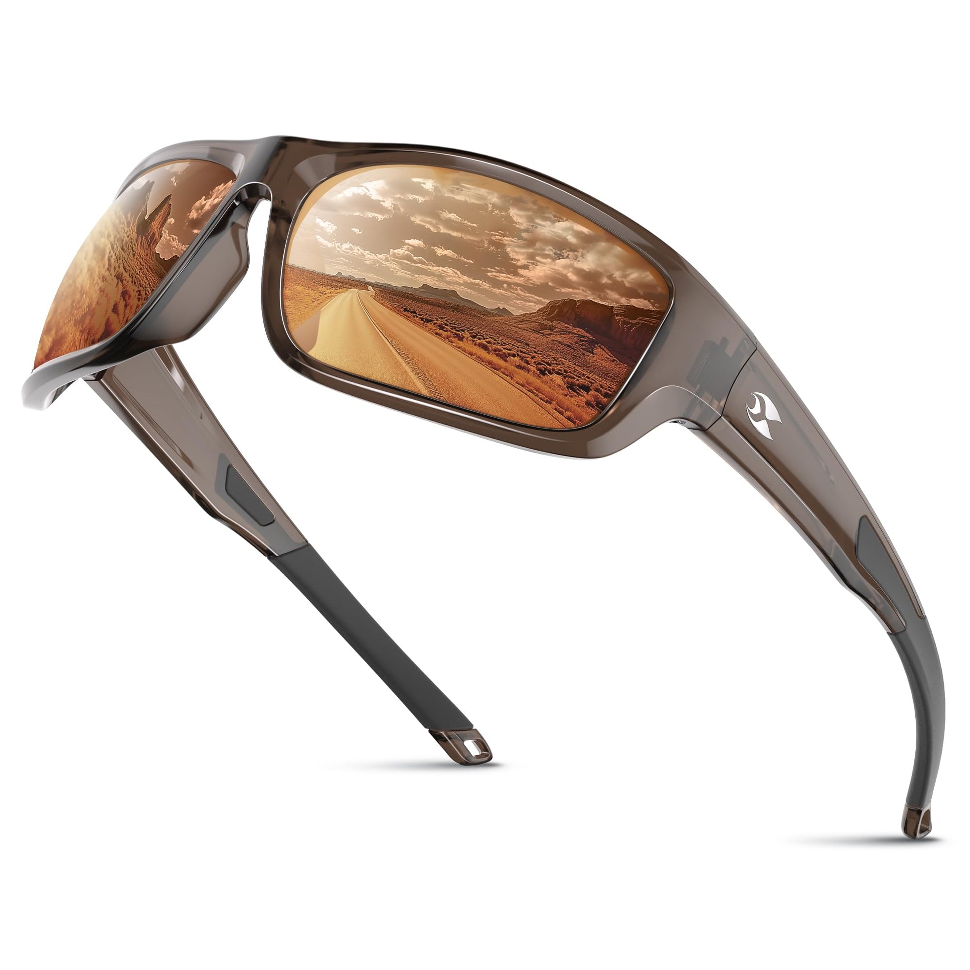 Sunglasses with reflective desert scene on a white background